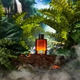 Dr Squatch Men s Cologne Rainforest Mist Natural Cologne Made With dr-squatch-men-s-cologne-rainforest-mist-natural-cologne-made-with