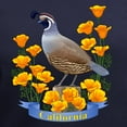 thumbnail image 3 of CafePress - California Quail & Golden Poppy - Women's V-Neck Dark T-Shirt, 3 of 4