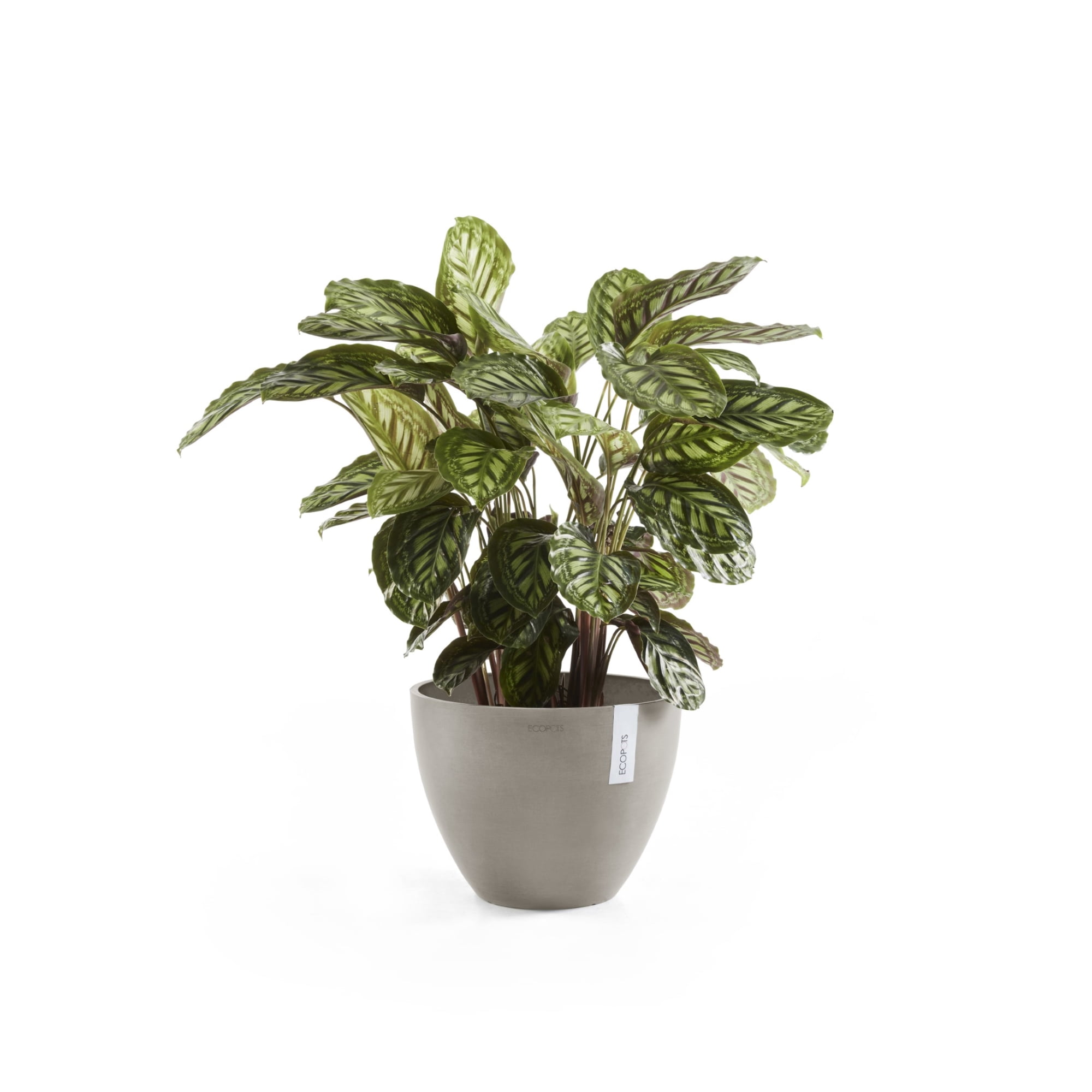 Ecopots Antwerp Durable Modern Round Indoor/Outdoor Recycled Based Composite Flower Pot Planter, Taupe, 12"