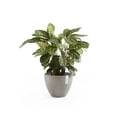 thumbnail image 4 of Ecopots Antwerp Durable Modern Round Indoor/Outdoor Recycled Based Composite Flower Pot Planter, Taupe, 12", 4 of 4