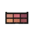 Profusion Cosmetics Bright Cheek Highlight Makeup Blush II 6 Color