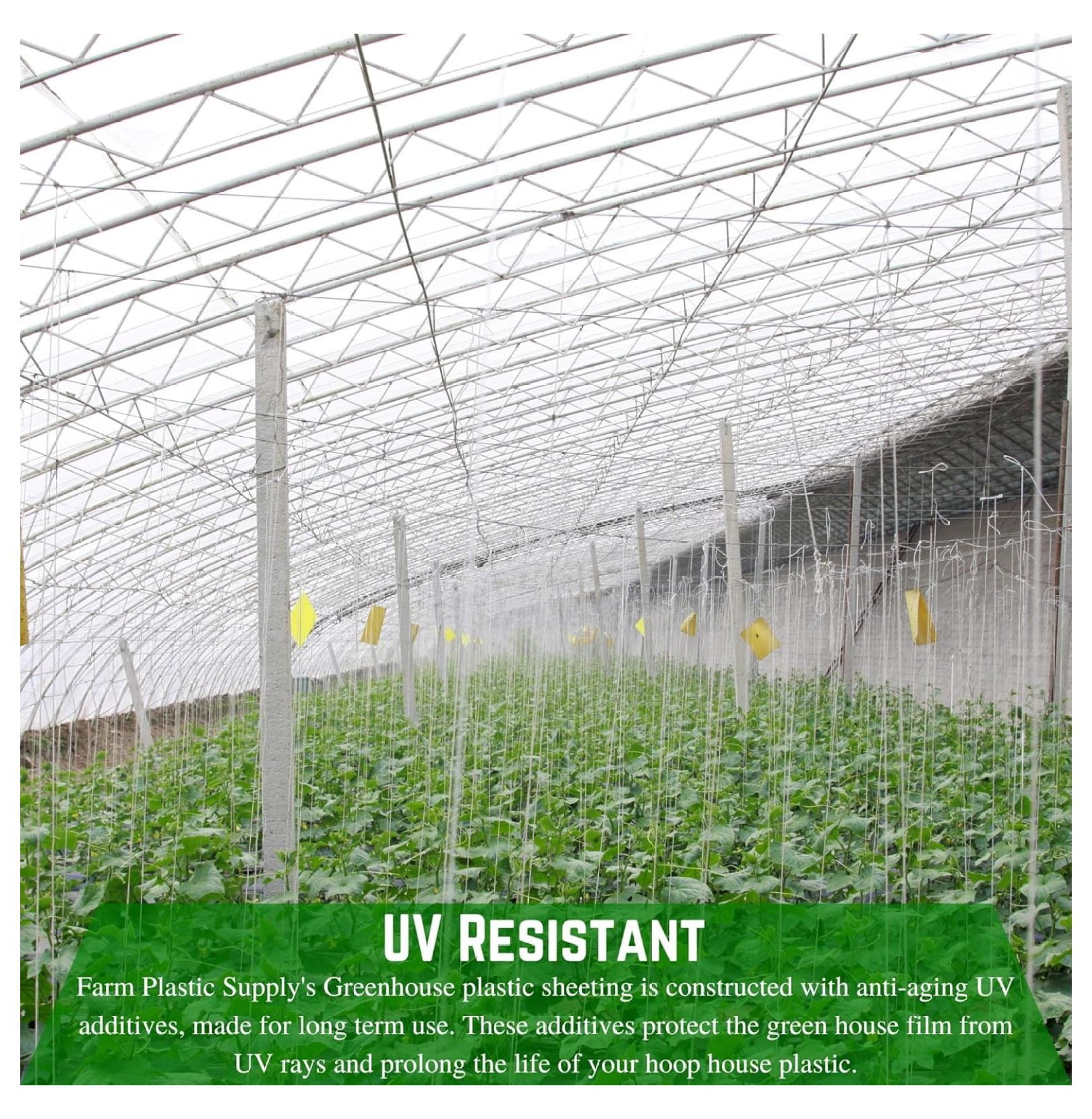 Greenhouse Plastic Sheeting 10 Mil - 6' x 25' String Reinforced UV Resistant Film for Hoop Houses, Clear Polyethylene Greenhouse Cover, Crop Protection
