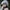 Gray, variant on CKLC Faux Fur Trimmed Winter Fashion Hat for Women Fashionable Outdoor Warm Hats Christmas Gift(White）
