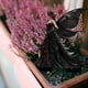 thumbnail image 4 of Estaca decorativa de acrílico Butterfly Fairy Garden - Arte de jardín exterior de 8,7x11 pulgadas para Navidad y decoración durante todo el año, 4 of 6