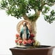 thumbnail image 1 of Estatua de María Santísima perfke Decoración navideña 17 cm x 30 cm, 1 of 9