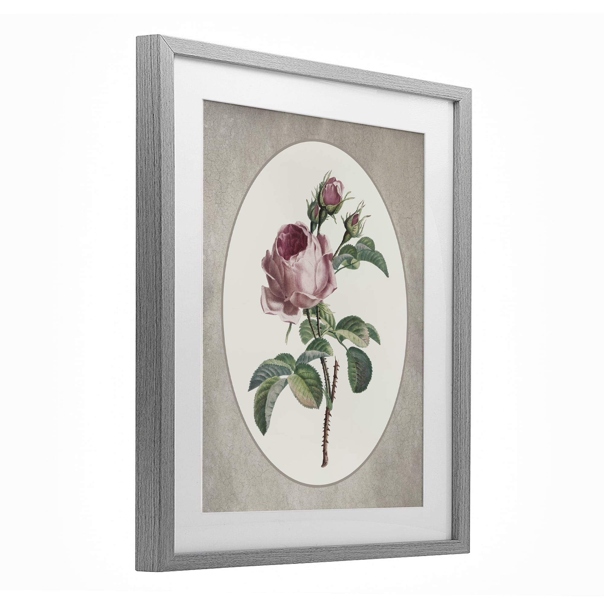 Vintage Rose within Oval Gray Framed Print Under Glass, design by Lettered and Lined