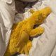 thumbnail image 1 of Large collection of plush toys, plush dolls, dolls, gifts, bags, and keychains 50cm, 1 of 1