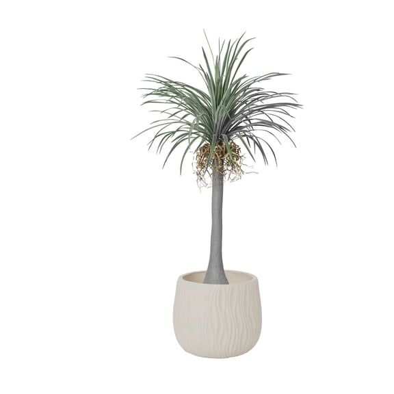 82.6'' Artificial Dragon tree in a Shell designed fiberstone planter perfect for indoor and outdoor use