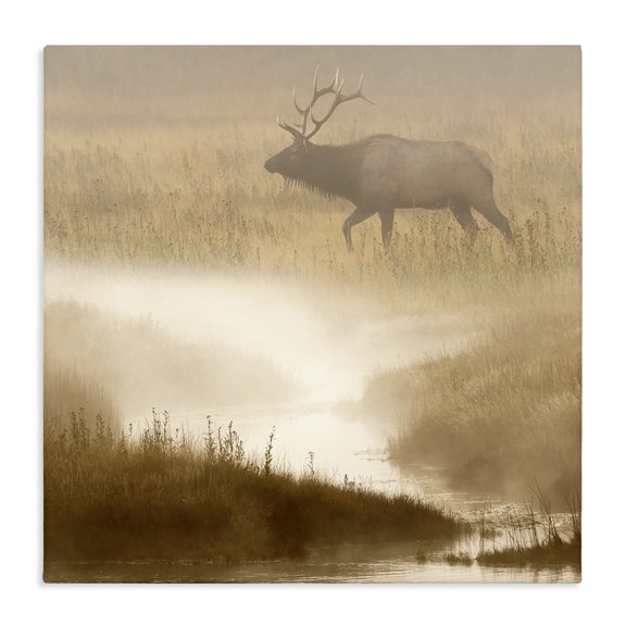 Stupell Industries Farmhouse Foggy River Deer Scene Canvas Art, 30 x 30, by Danita Delimont