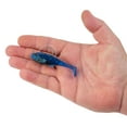 thumbnail image 5 of PowerBait® Agent E, 5 of 6