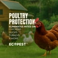 thumbnail image 3 of Mite Spray – Natural Killer for Dust, Bird, Spider, Scabies & Other Mites | Bedding & Furniture-Safe | Treatment for Chickens, Poultry, Dogs, Cats, Reptiles & Other Pets | Indoor & Outdoor (1 Gallon), 3 of 10