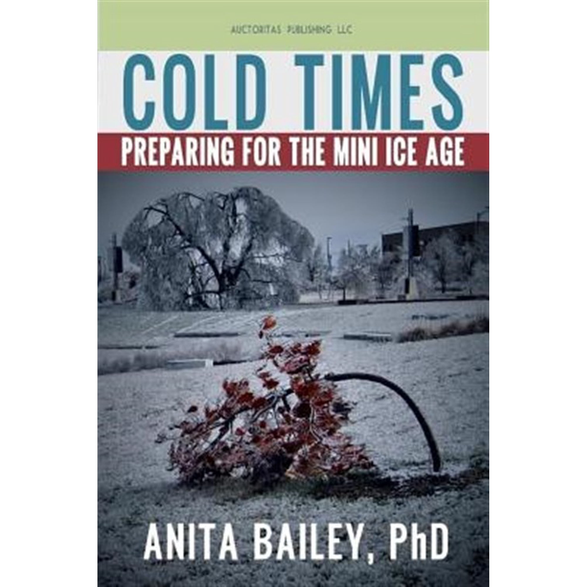 Cold Times: How to Prepare for the Mini Ice Age (Paperback) by Anita Bailey