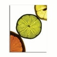 thumbnail image 1 of Gango Home Decor Contemporary Sliced Fruit III by Monika Burkhart (Printed on Paper); One 22x28in Fine Art Paper Giclee Print, 1 of 4