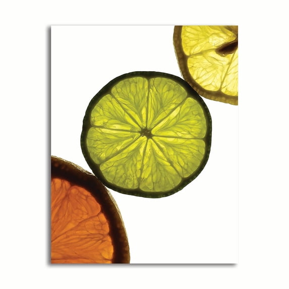 Gango Home Decor Contemporary Sliced Fruit III by Monika Burkhart (Printed on Paper); One 22x28in Fine Art Paper Giclee Print