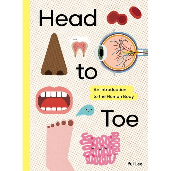 Head to Toe: An Introduction to the Human Body, (Hardcover)