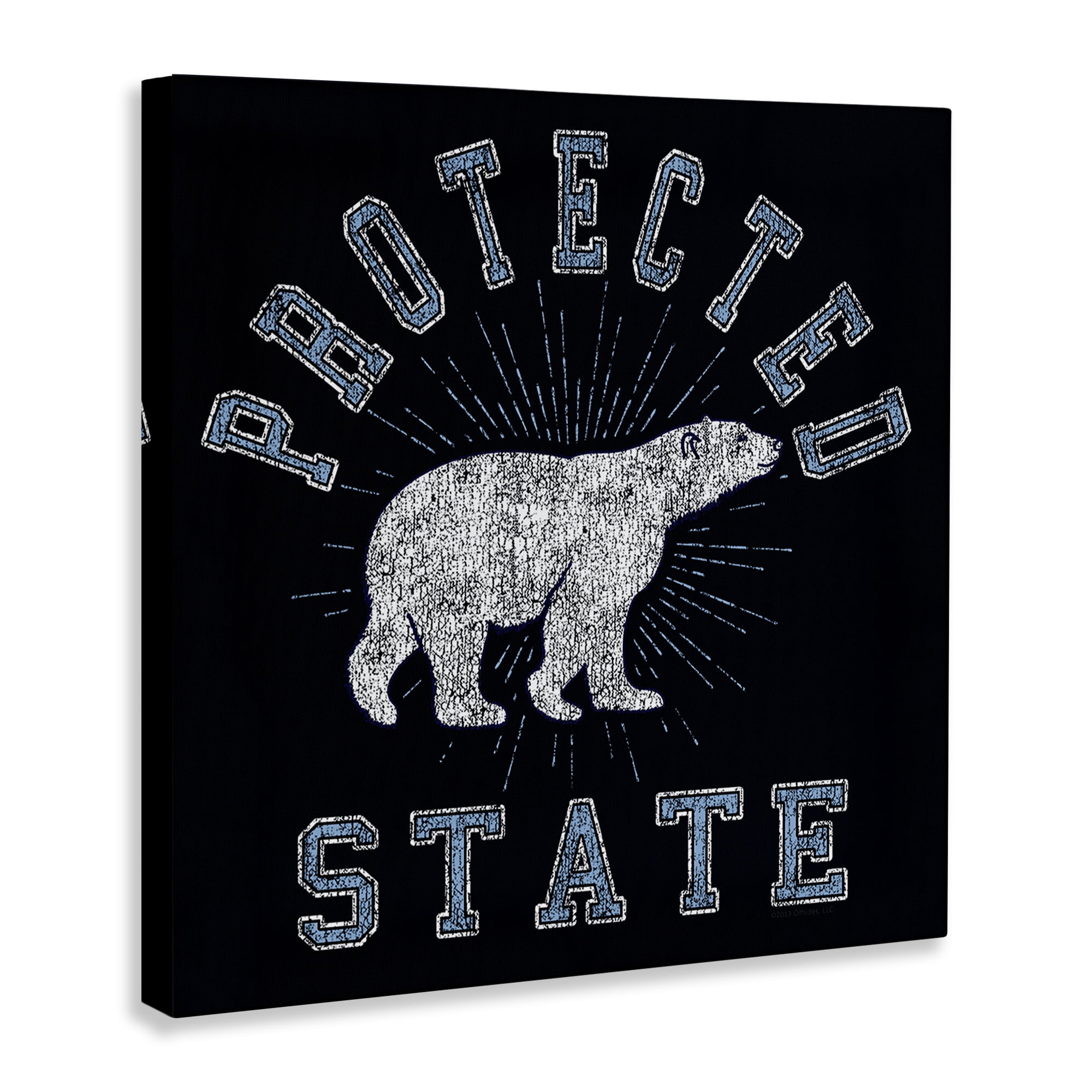 Stupell Industries Polar Bear Protected State Animals Painting Wrapped Canvas Art Print Wall Art, 30 x 30