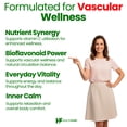 thumbnail image 5 of HealthFare Rutin Supplement 500mg | 200 Vegan Capsules | Natural Bioflavonoid Formula | Extra Strength Antioxidant Support | Non-GMO, Gluten-Free | Made in USA, 5 of 6