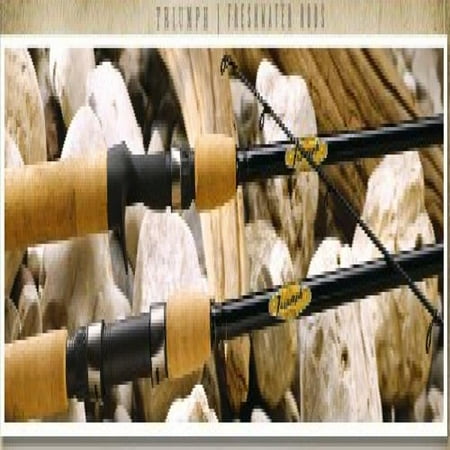 UPC 780647022794 product image for St. Croix Triumph Casting Rod, TRC66MHF | upcitemdb.com