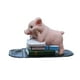 thumbnail image 1 of Figura de cerdo de resina Escultura de cerdo de resina Adorable Cerdo en miniatura coleccionable Jardín Estilo B 9x6x8cm, 1 of 9