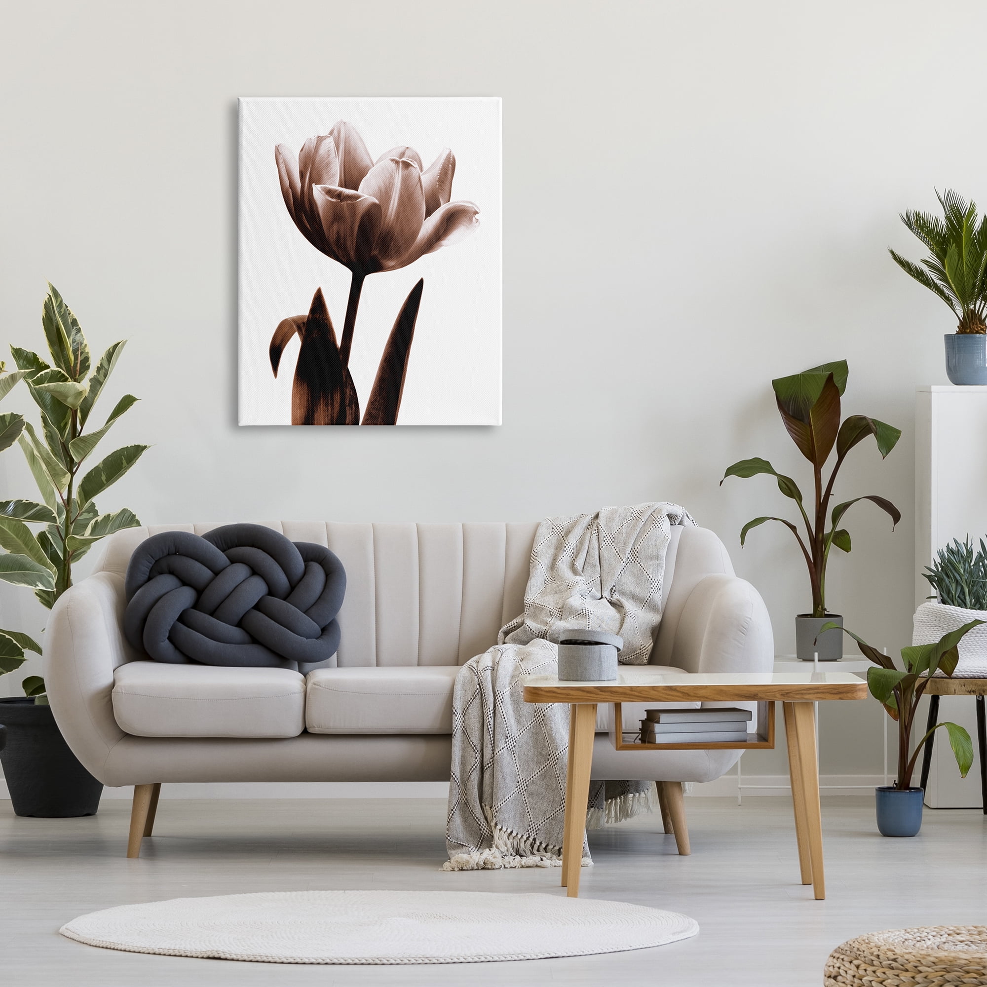 Stupell Industries Modern Tulip on White Botanical & Floral Photography Gallery Wrapped Canvas Print Wall Art, 30 x 40
