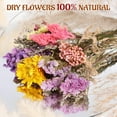 thumbnail image 2 of 10 Pack Dried Flower Bouquets Various Dried Flower Combinations with Stem Mini Dried Embossing Natural Flower Bundles Artificial Flower Dried Floral Arrangement for Vase DIY Wedding Decor, 2 of 5