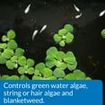 thumbnail image 4 of POND ALGAEFIX, 1 GALLON, 4 of 5