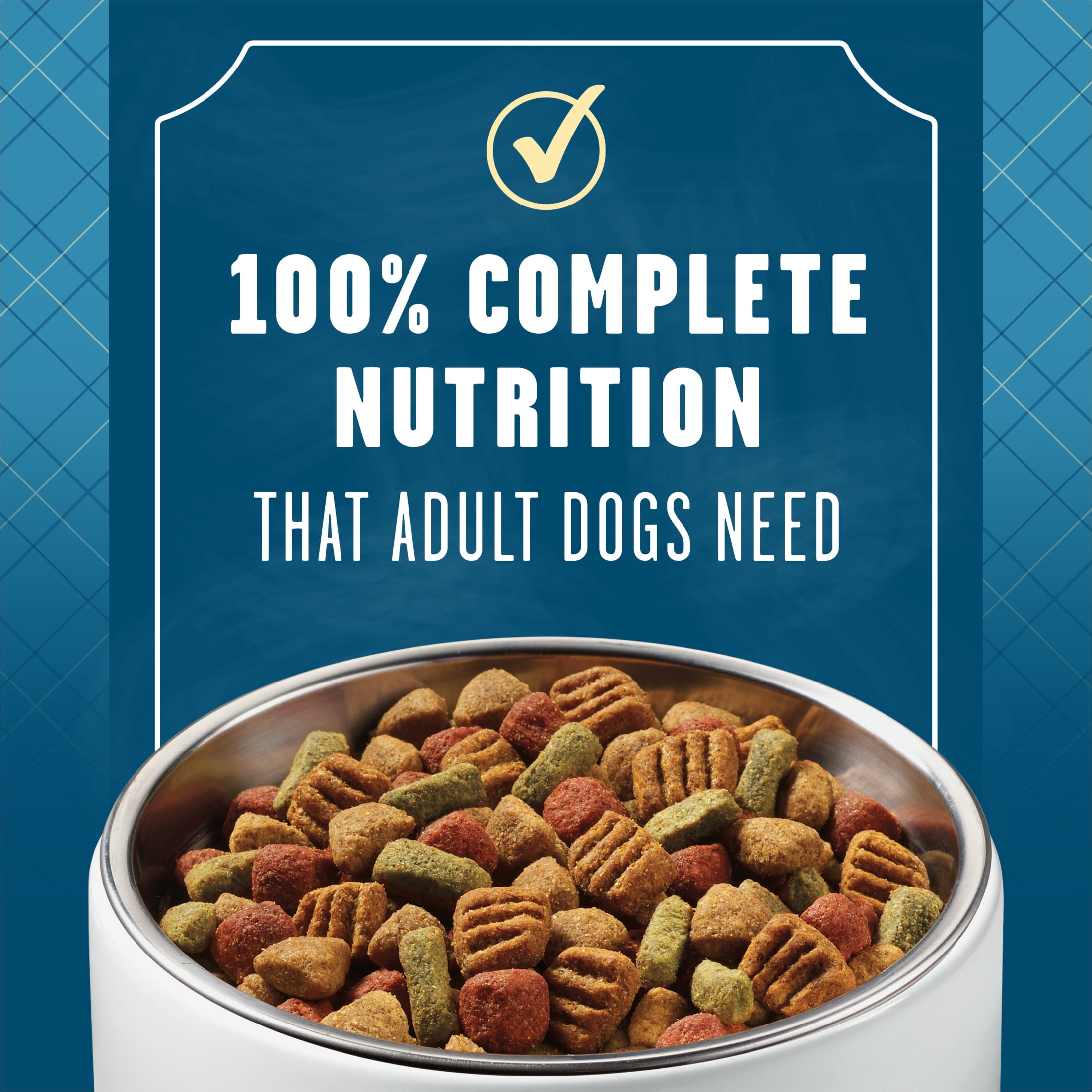 Purina ALPO Come and Get It! Cookout Classics Adult Dry Dog Food, 14 lb.