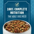 thumbnail image 4 of Purina ALPO Come and Get It Cookout Classics Dry Dog Food, 36 lb Bag, 4 of 11