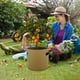 thumbnail image 4 of Bag plantadora de jardín, bolsa de siembra de flores, bolsa de nutrición para plantas, bolsa de crecimiento no tejida, resistente, fácil de transportar, para jardín, terraza, maceta, alta, 4 of 9