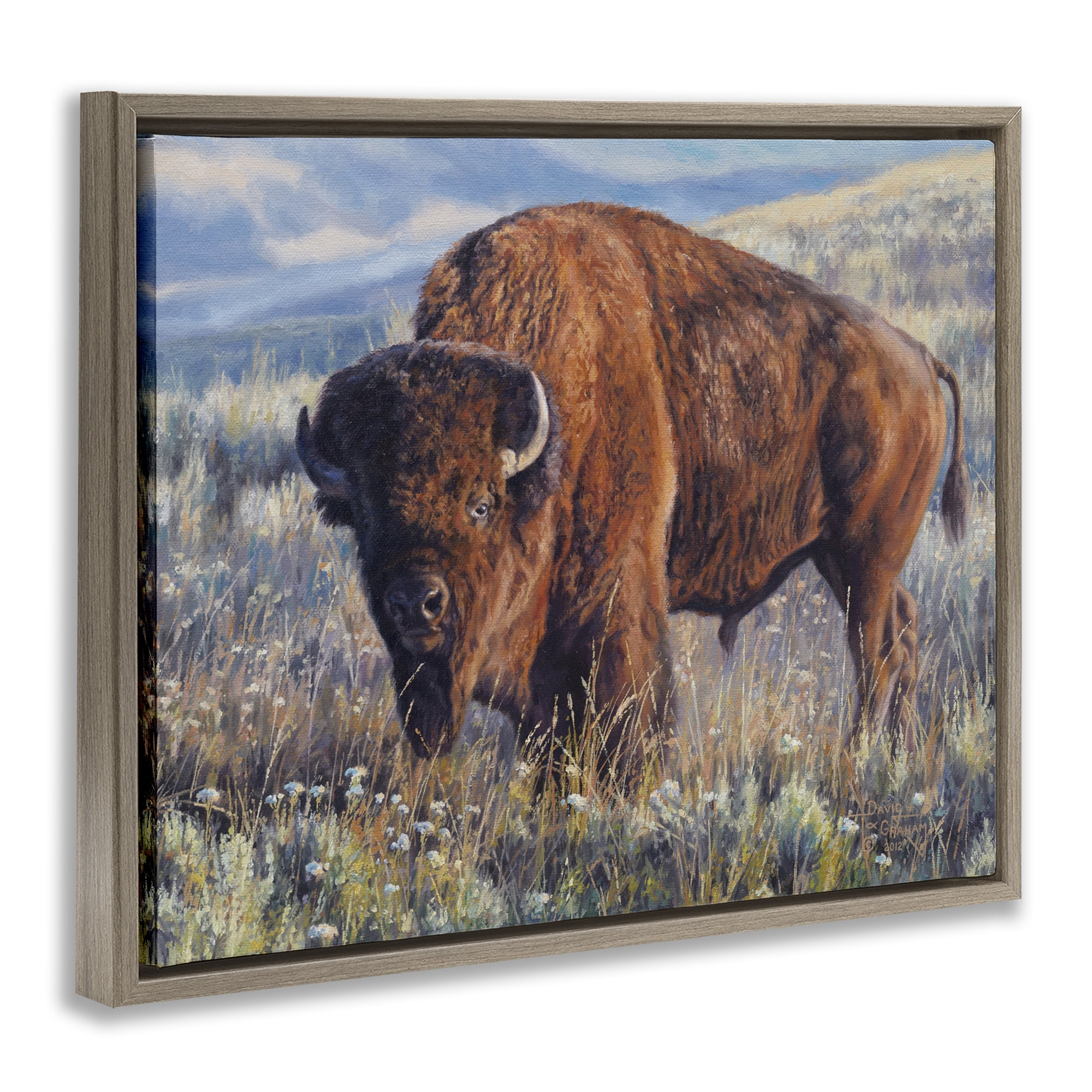 Stupell Industries Prairie King Bison Landscape Photography Brown Floater Framed Canvas Art Print Wall Art, 31 x 25
