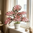 thumbnail image 1 of Planta Bonsái Artificial de Monstera Deliciosa para Interiores con Ramas Ajustables, Follaje Realista, 45cm para Decoración de Hogar, Oficina y Dormitorio, 1 of 7