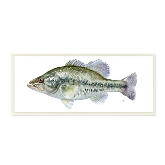 Stupell Industries Green Blue Bass Fish Modern Watercolor over White Animals & Insects Painting Unframed Art Print Wall Art, 7 x 17