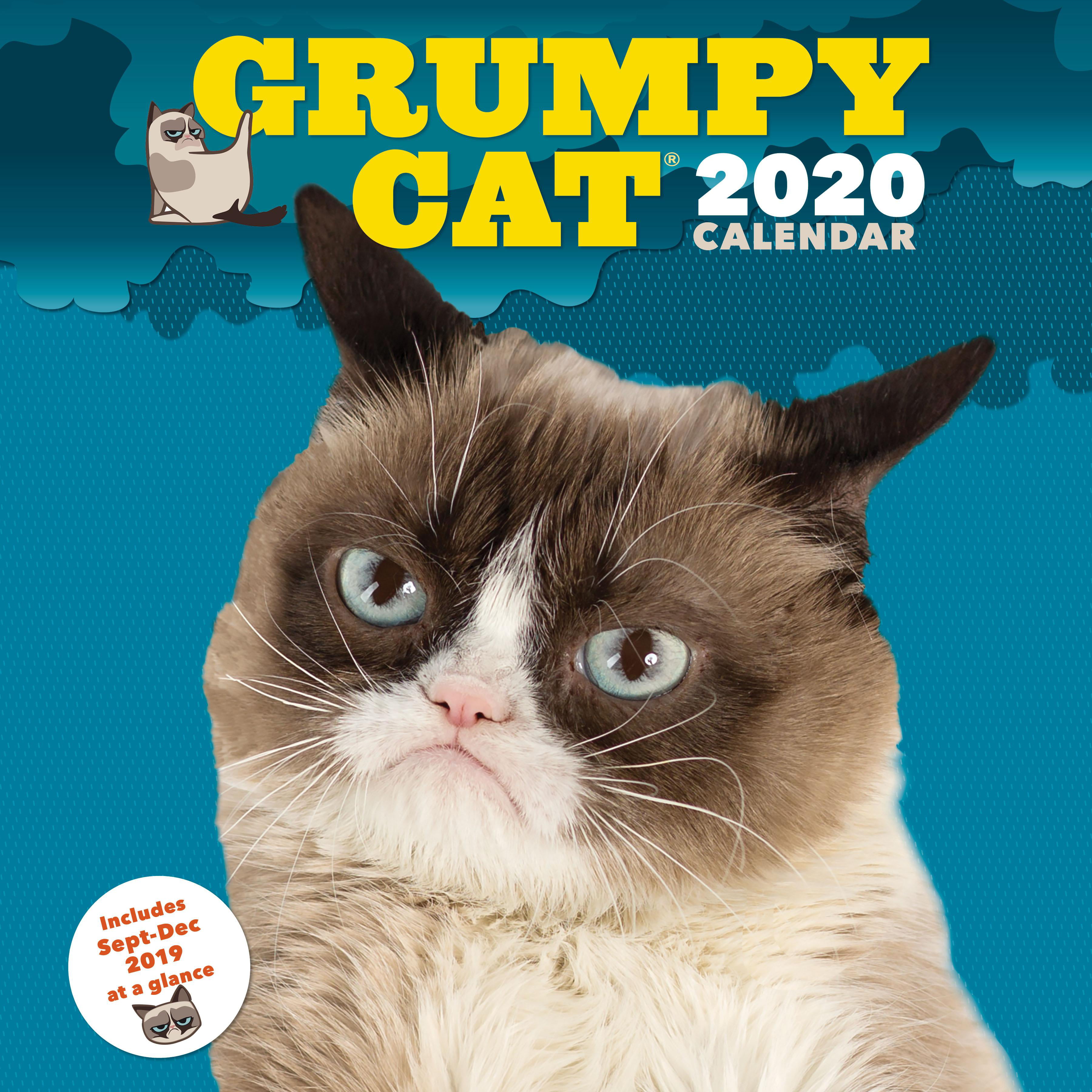 Grumpy Cat 2020 Wall Calendar (funny Gag Gift Yearly Calendar, Cat