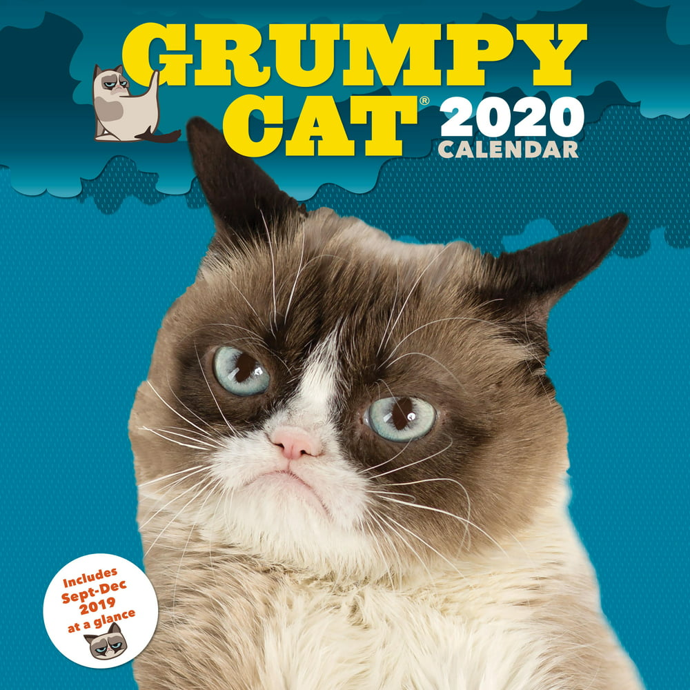 grumpy-cat-2020-wall-calendar-funny-gag-gift-yearly-calendar-cat-lover-s-present-other