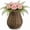 Dark Brown, variant on Rattan Vase for Flowers, Rustic Woven Wicker Vase for Boho Home Decor, Imitation Rattan Flower Basket, Farmhouse Desktop Centerpiece for Pampas Grass, Dried Floral Arrangement(Dark Brown)