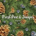 thumbnail image 2 of Air Wick Plug in Scented Oil 2 Refills, Fresh Pine and Juniper, Fall scent, Fall spray, (2x0.67oz), Essential Oils, Air Freshener, Packaging May Vary, 2 of 4