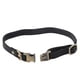 thumbnail image 2 of Collar de cuero para perros Collar de cuero acolchado suave para mascotas con hebilla grabada para perros y gatos pequeños, medianos y grandes, 2 of 8