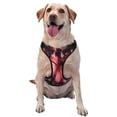 thumbnail image 1 of Balery pink butterfly Arnés para Perros Grandes Antitirones, Arnés con Correa para Gato, Arnés Tipo Chaleco para Perros Pequeños-Medium, 1 of 6