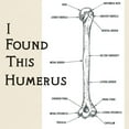 thumbnail image 3 of CafePress - I Find This Humerus Light T Shirt - Men's Classic Graphic T-Shirt, 3 of 4
