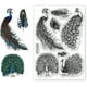 thumbnail image 1 of Sellos transparentes de plumas de pavo real, fondo retro de plumas de pavo real, sello de silicona transparente de 6,3 x 4,3 pulgadas, 1 of 9