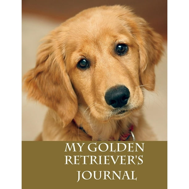 My Golden Retriever's Journal Building Memories One Day at a Time