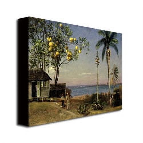 Trademark Fine Art "Tropical Scene" Canvas Art by Albert Biersdant