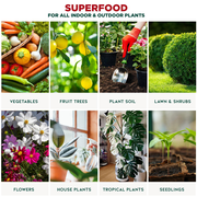 ⭐ GARDENERA Organic Liquid Kelp Fertilizer - 8 oz -Enhance Your Gardens Yield with Seaweed Fertilizer for Plants - Concentrated Kelp & Seaweed Extract