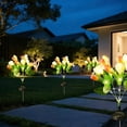 thumbnail image 4 of Solar Garden Lights Outdoor,Waterproof Solar Tulip Lights LED Garden Stake Lights For Yard Lawns Patio Villa Landscapes Decorative Pathways Lighting, 4 of 6