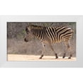 thumbnail image 3 of Dana Underdahl 18x12 White Modern Wood Framed Wall Art Titled - Safari Zebra II, 3 of 5