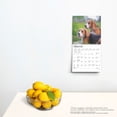 thumbnail image 5 of BrownTrout, Beagle 2025 Mini Wall Calendar, 5 of 9