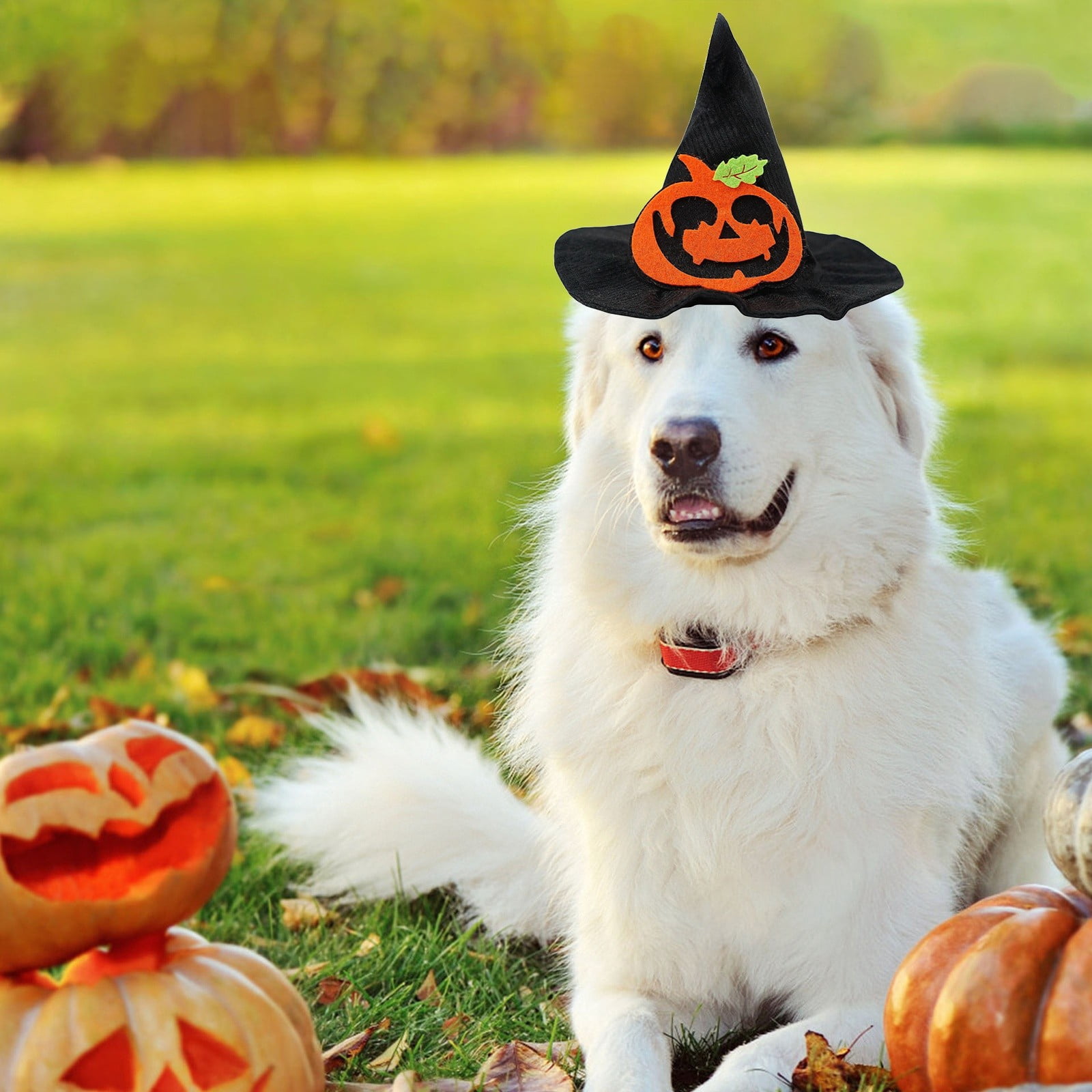 Halloween Pet Hat For Dogs And Cats Cartoon Design Perfect For Festive Celebrations And Costumes Comfortable Polyester Material Ideal For Trick Or Treating And Events