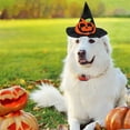 thumbnail image 1 of Halloween Pet Hat For Dogs And Cats Cartoon Design Perfect For Festive Celebrations And Costumes Comfortable Polyester Material Ideal For Trick Or Treating And Events, 1 of 5