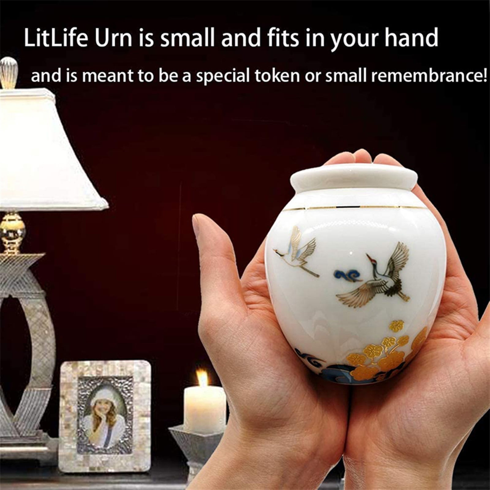 For Dogs Cats Ashes Keepsake Memorial Box Funeral Set Burial Urns For Cremated Remains Ash Vial Adult Funeral Urn Pet Cat And Dog Urn 2737