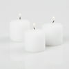 Richland Votive Candles & Eastland Clear Grande Votive Holders White Citronella Scented Set of 72